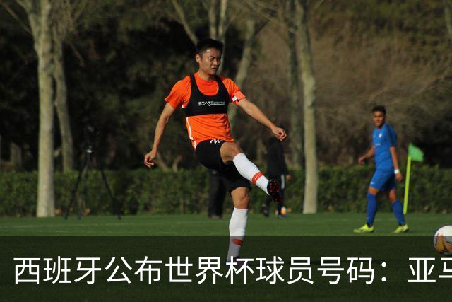 西班牙公布世界杯球员号码：亚马尔身披19号 奥尔莫10号